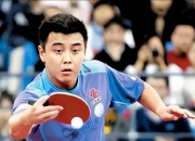 开云体育app-奥地利乒乓球队横扫韩国乒乓球队，王皓高光表现的简单介绍