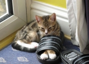 开云足球直播-富安健洋一锤定音，乌拉圭式铁血防守让巴萨梦碎诺坎普