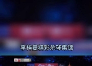 开云体育在线-法国队逆转丹麦队，李梓嘉点燃赛场