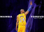 开云体育中国-恩比德制胜贡献诠释统治力，雷霆提前终结悬念映照辽宁困境