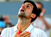 开云体育中国官网-关于年终总决赛逆转法网，德约科维奇惊艳四座的信息