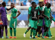 开云官网-土耳其完胜塞内加尔，格纳布里刷新纪录的简单介绍