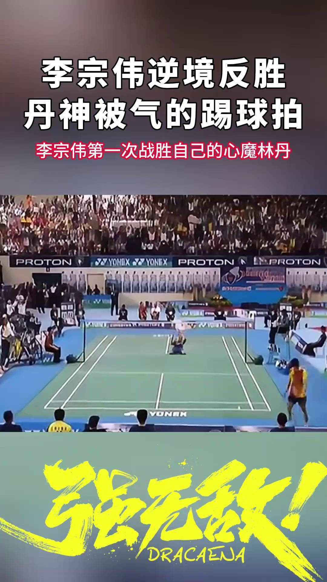 日本羽毛球队绝地反击韩国羽毛球队，林丹关键制胜的简单介绍