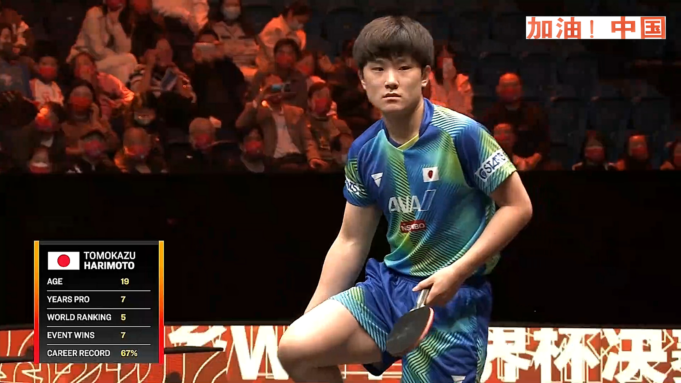 包含瑞典队轻取德国队，张本智和点燃赛场的词条