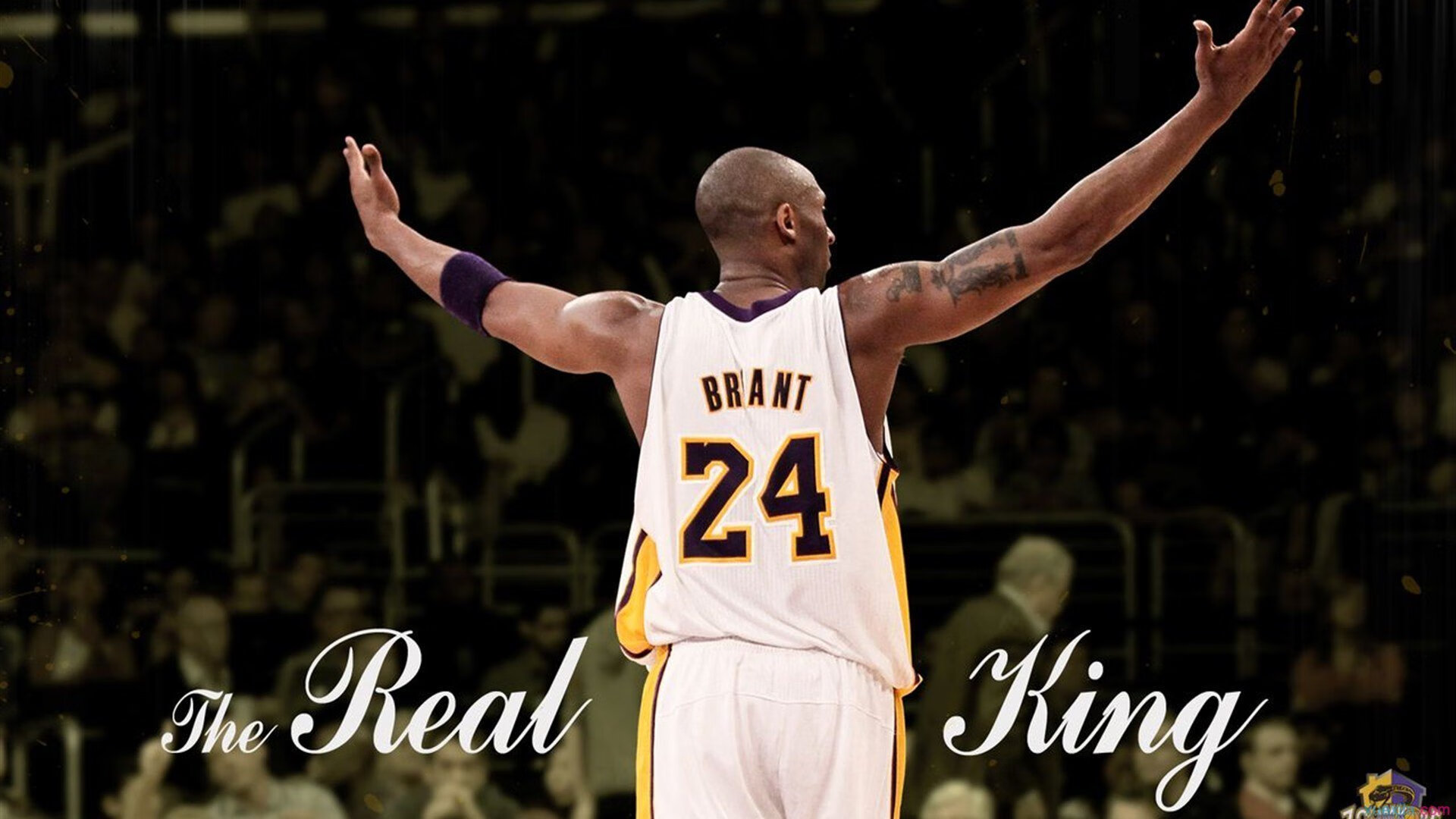 赛道上的逆袭，哈斯鏖战梅赛德斯，塞恩斯高光时刻